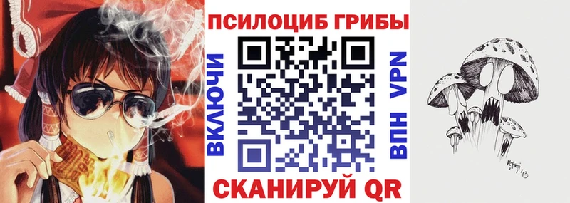 Купить закладки  Казань  Галлюциногенные грибы MAGIC MUSHROOMS 